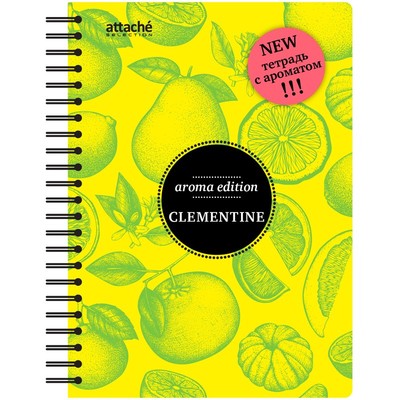 Бизнес-тетрадь ароматизир.100л, кл, А5,  КЛЕМЕНТИН, спир, тонир.блок 84906